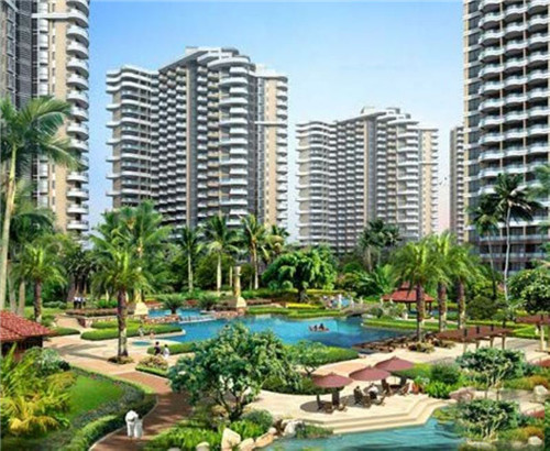 森山抹茶本铺