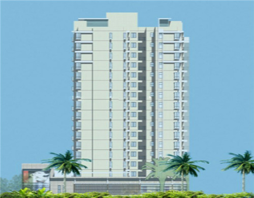 自由兄弟茶油炒饭