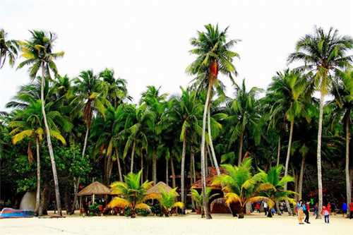 喝丢一只鞋烧烤