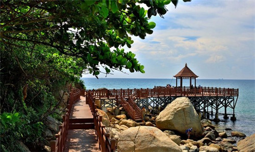 春风红叶网红寿司