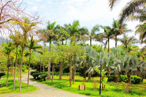 商用炒菜机品牌推荐