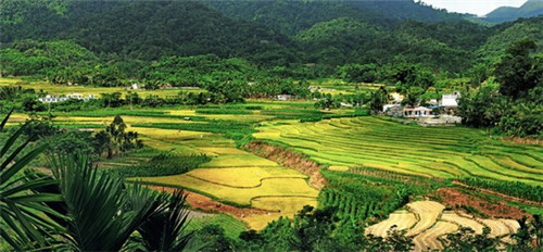 旅游度假十大品牌排行榜