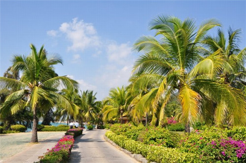 什么品牌的奶茶连锁店适合新手加盟，糖吉歌德加盟需要多少钱