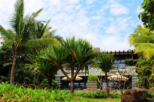 2025年莱阳哪些开店项目值得考虑？方向盘连锁店还有机会吗？