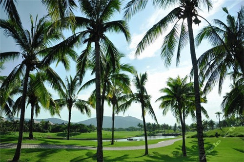 菲律宾雪糕加盟费多少钱一个月，菲律宾雪糕加盟费多少