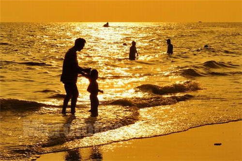 除虫代理加盟费多少，专业除虫机构