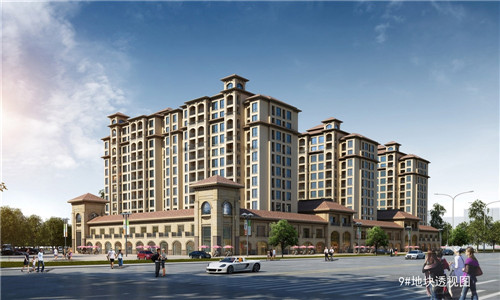 丰镇市男士板鞋加盟创业选择哪家品牌好