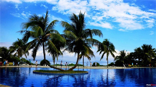 买房征信是什么意思（买房征信报告什么样的）