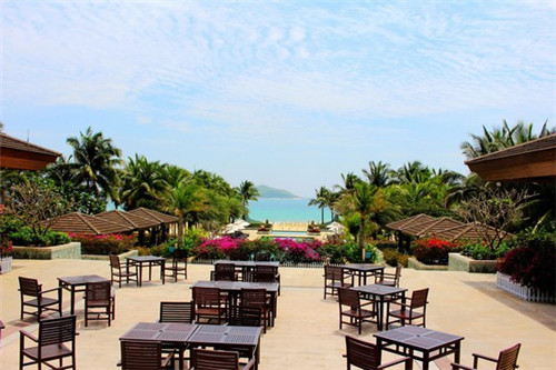 神厨烹饪（神厨配方）