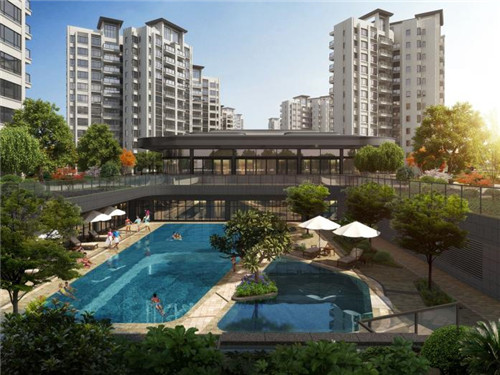 电饼锅炒土豆丝怎么做（电饼档土豆丝饼的做法视频）