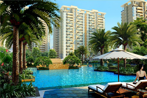 炒腊鸭家常做法长沙（炒腊鸭视频）