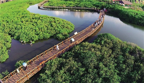 小套的厨房如何装修（小套的厨房如何装修好看）